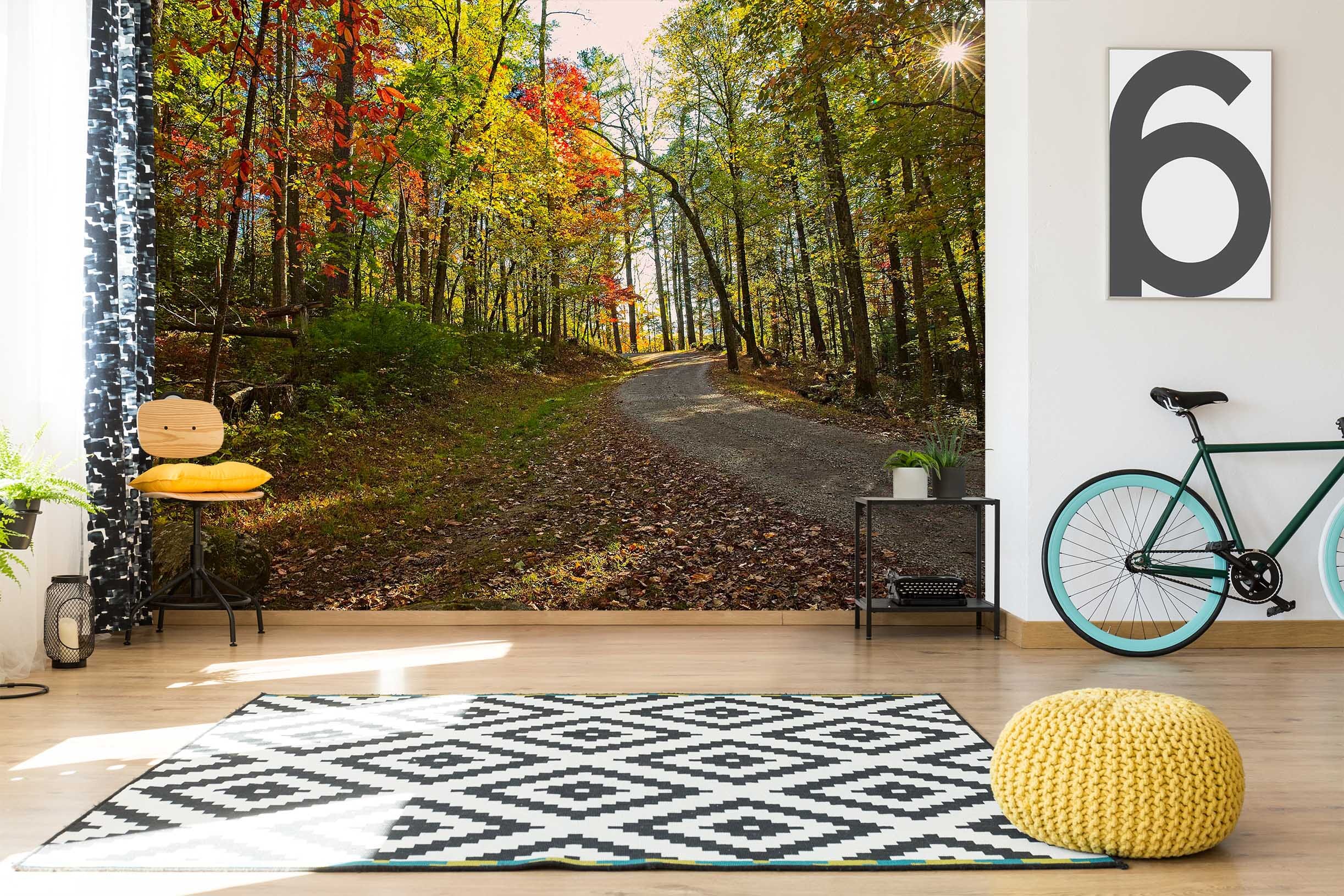 3D Forest Road 117 Kathy Barefield Wall Mural Wall Murals Wallpaper AJ Wallpaper 2 