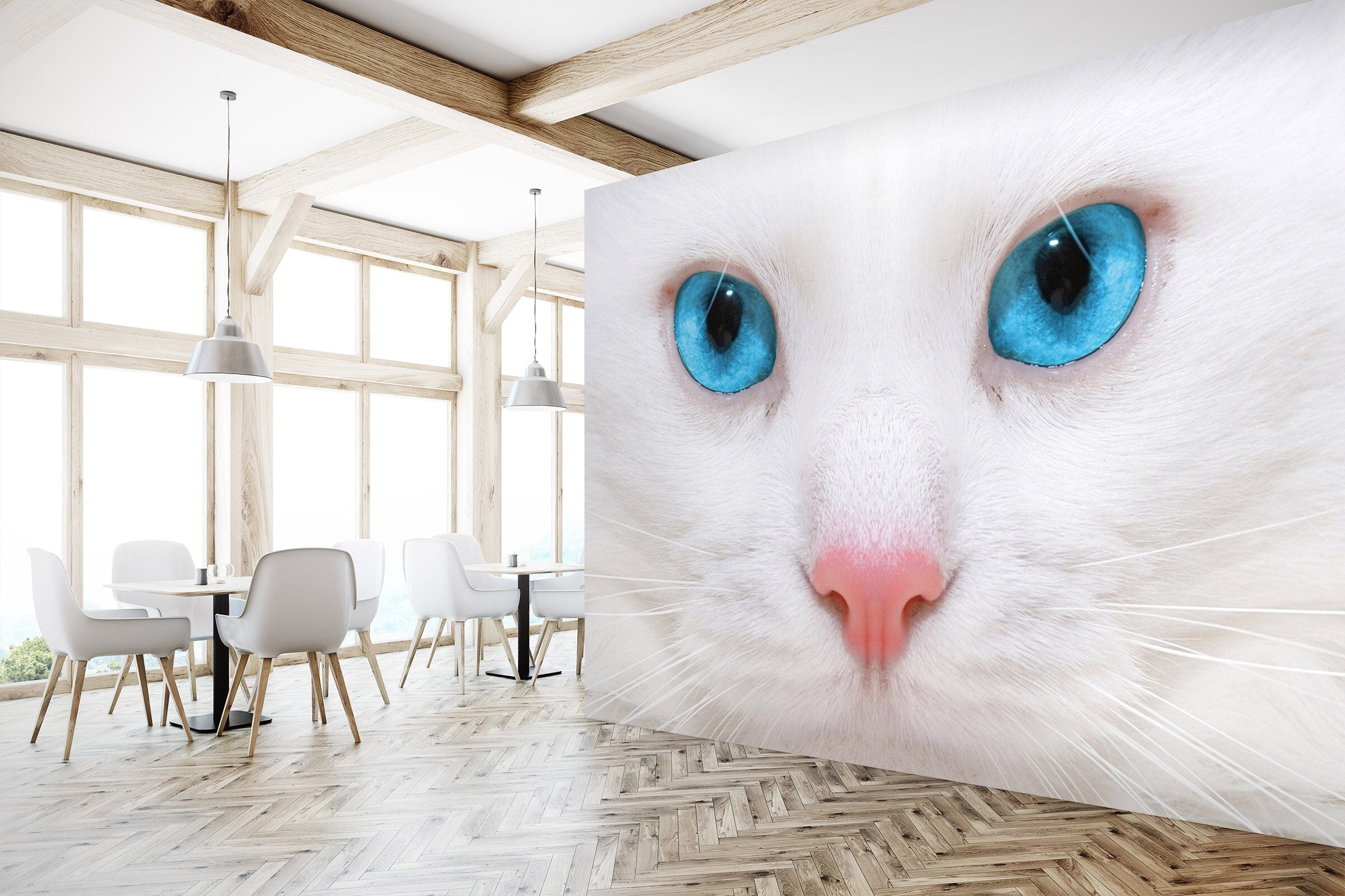 3D White Kitten 220 Wall Murals Wallpaper AJ Wallpaper 2 