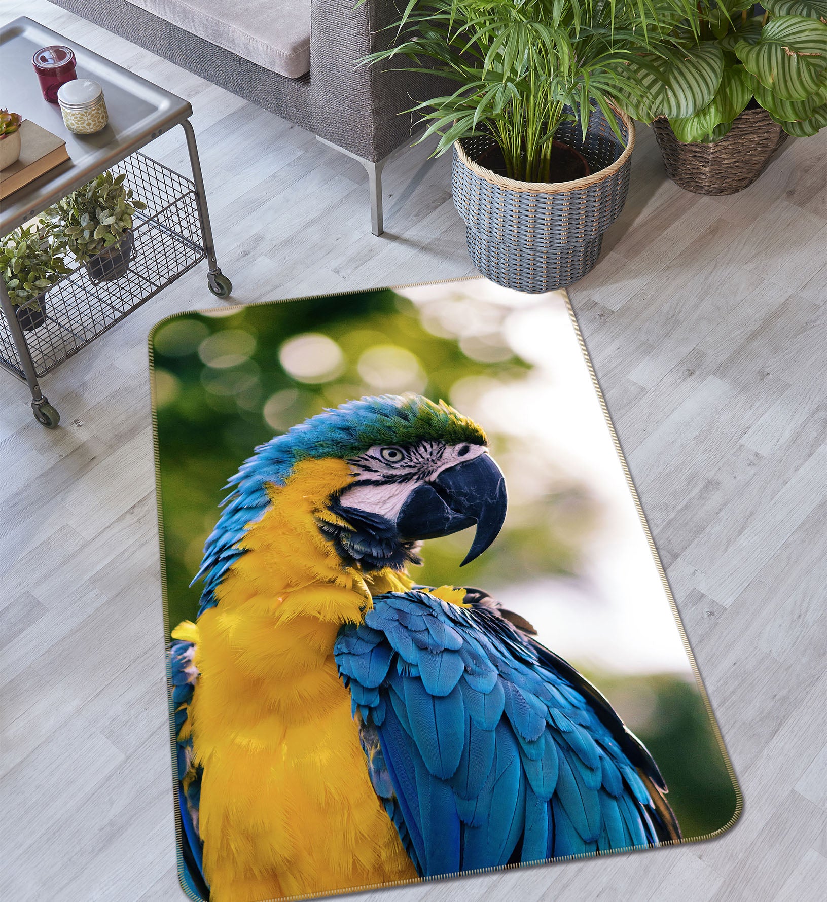 3D Parrot 35246 Non Slip Rug Mat
