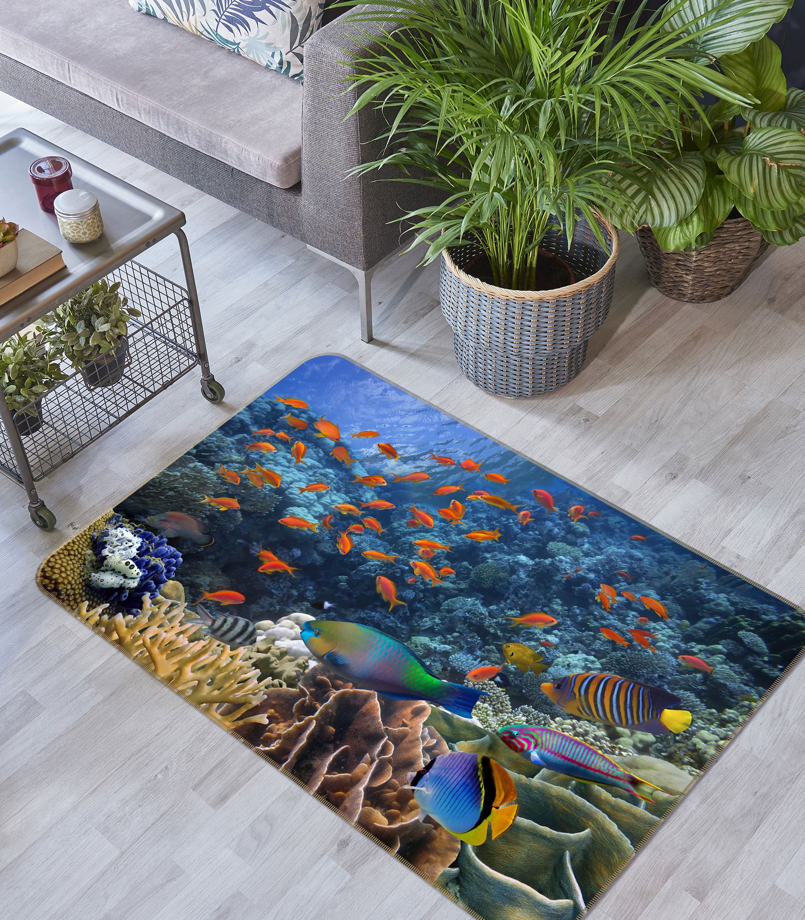 3D Coral School Of Fish 34151 Non Slip Rug Mat