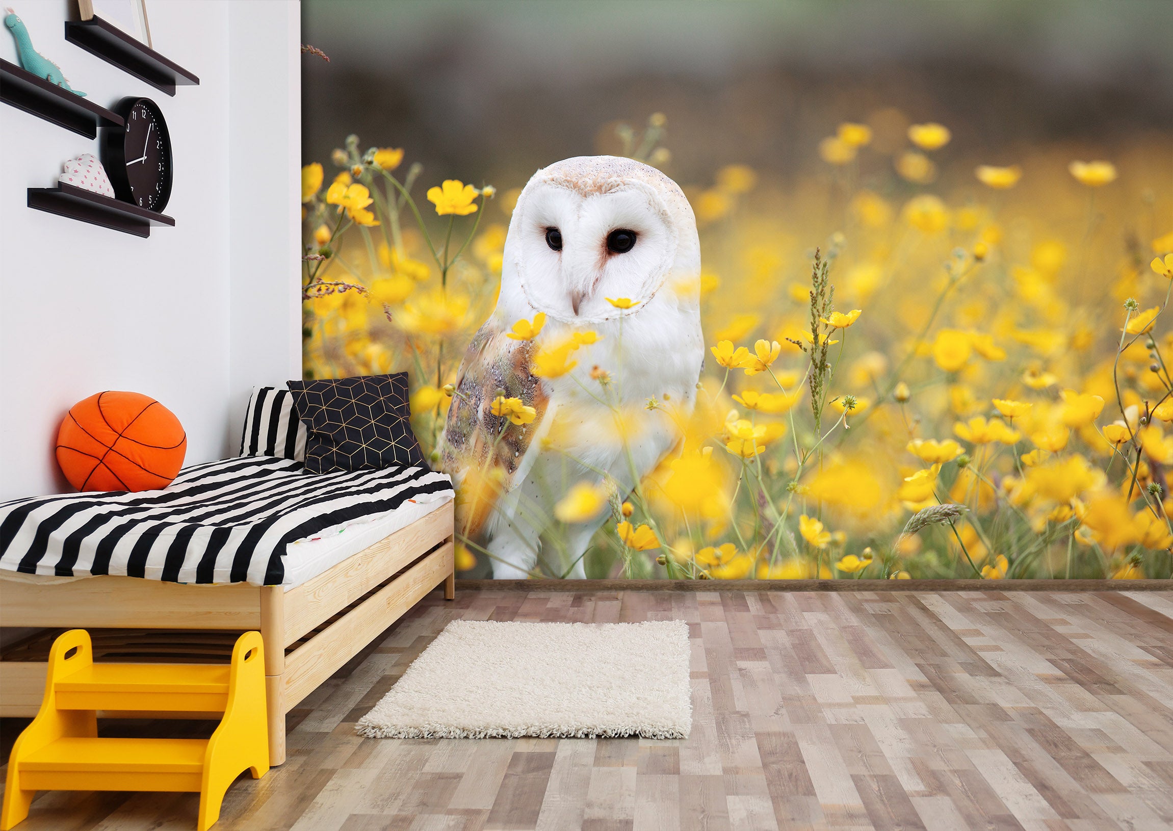 3D White Owl 435 Wall Murals