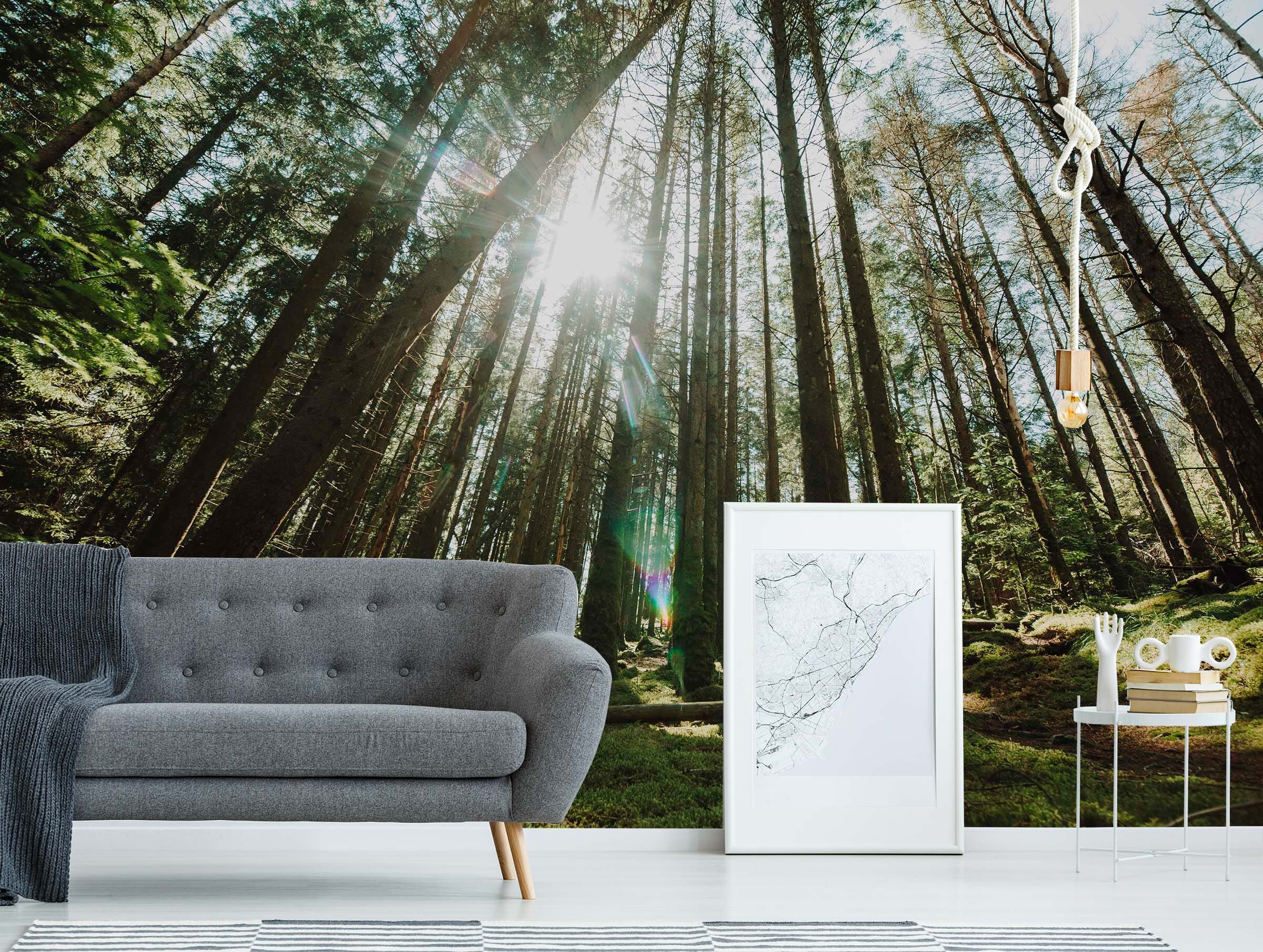 3D Forest Trees 85 Wall Murals Wallpaper AJ Wallpaper 2 