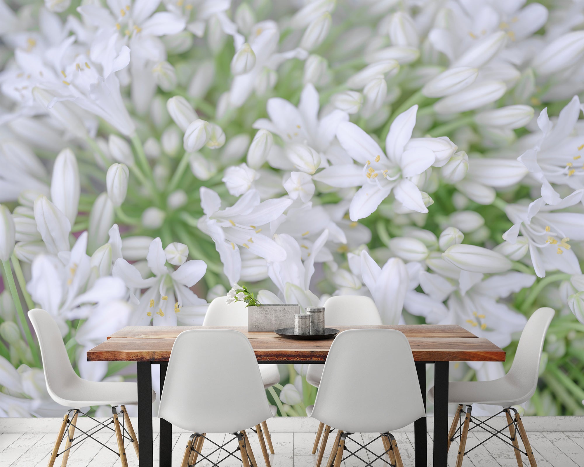 3D White Flower 6268 Assaf Frank Wall Mural Wall Murals