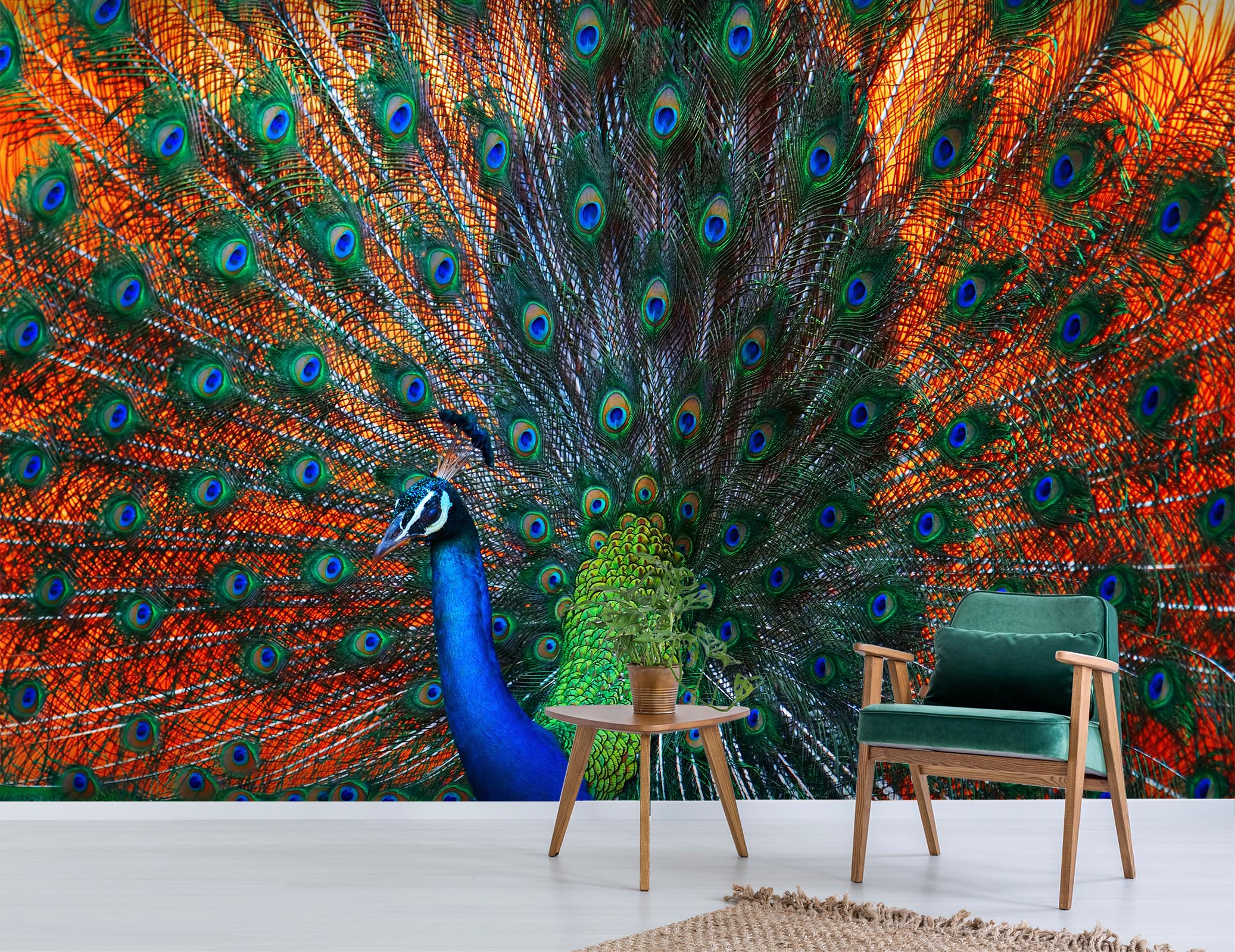 3D Red Peacock 441 Wall Murals