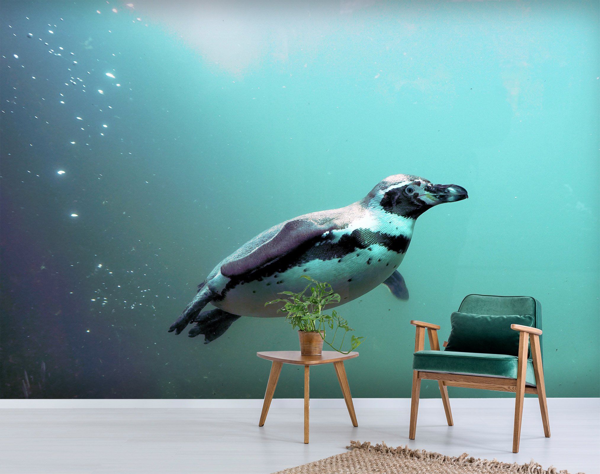 3D Swimming Seal 220 Wallpaper AJ Wallpaper 