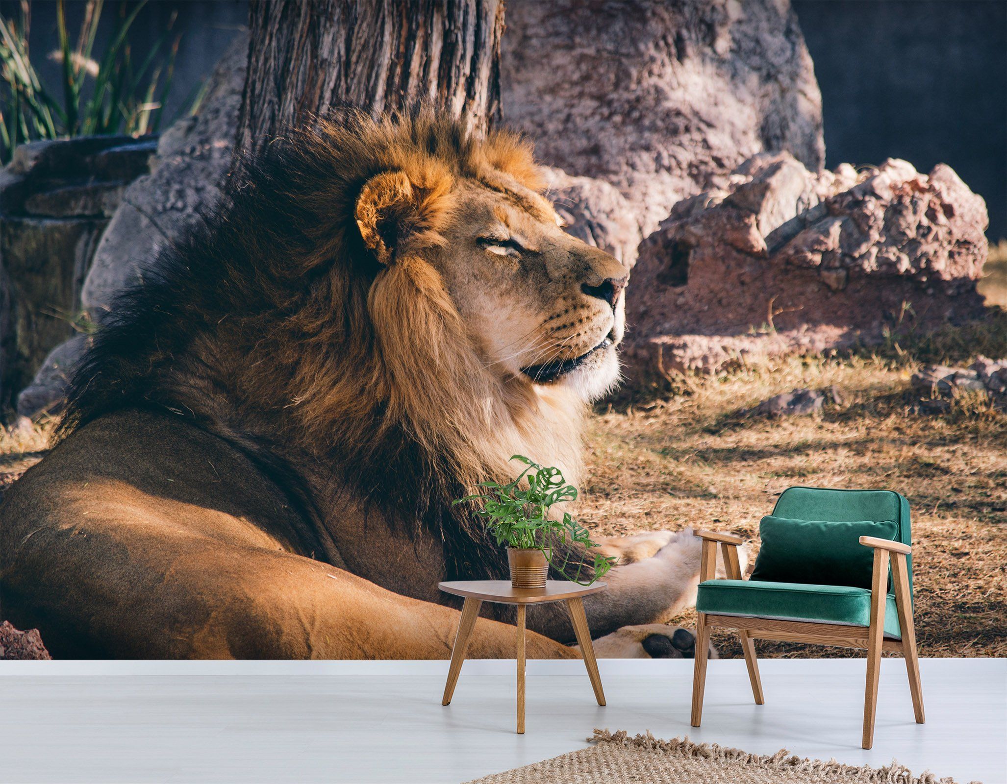 3D Raised Lion 210 Wallpaper AJ Wallpaper 