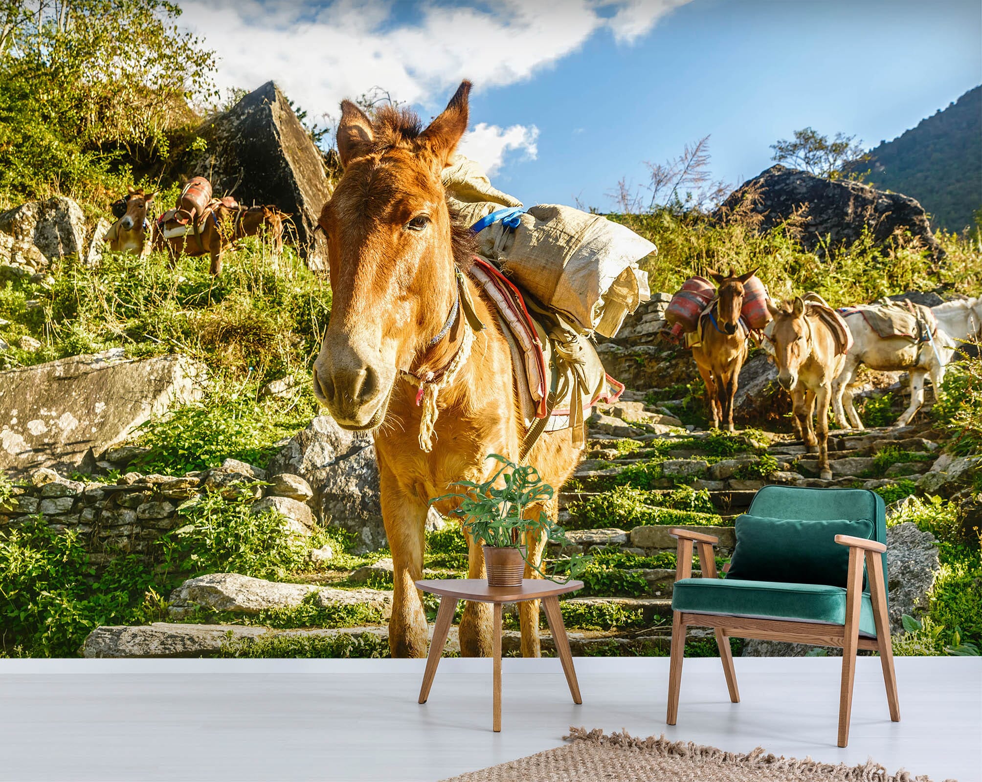 3D Donkey Load 373 Wall Murals Wallpaper AJ Wallpaper 2 