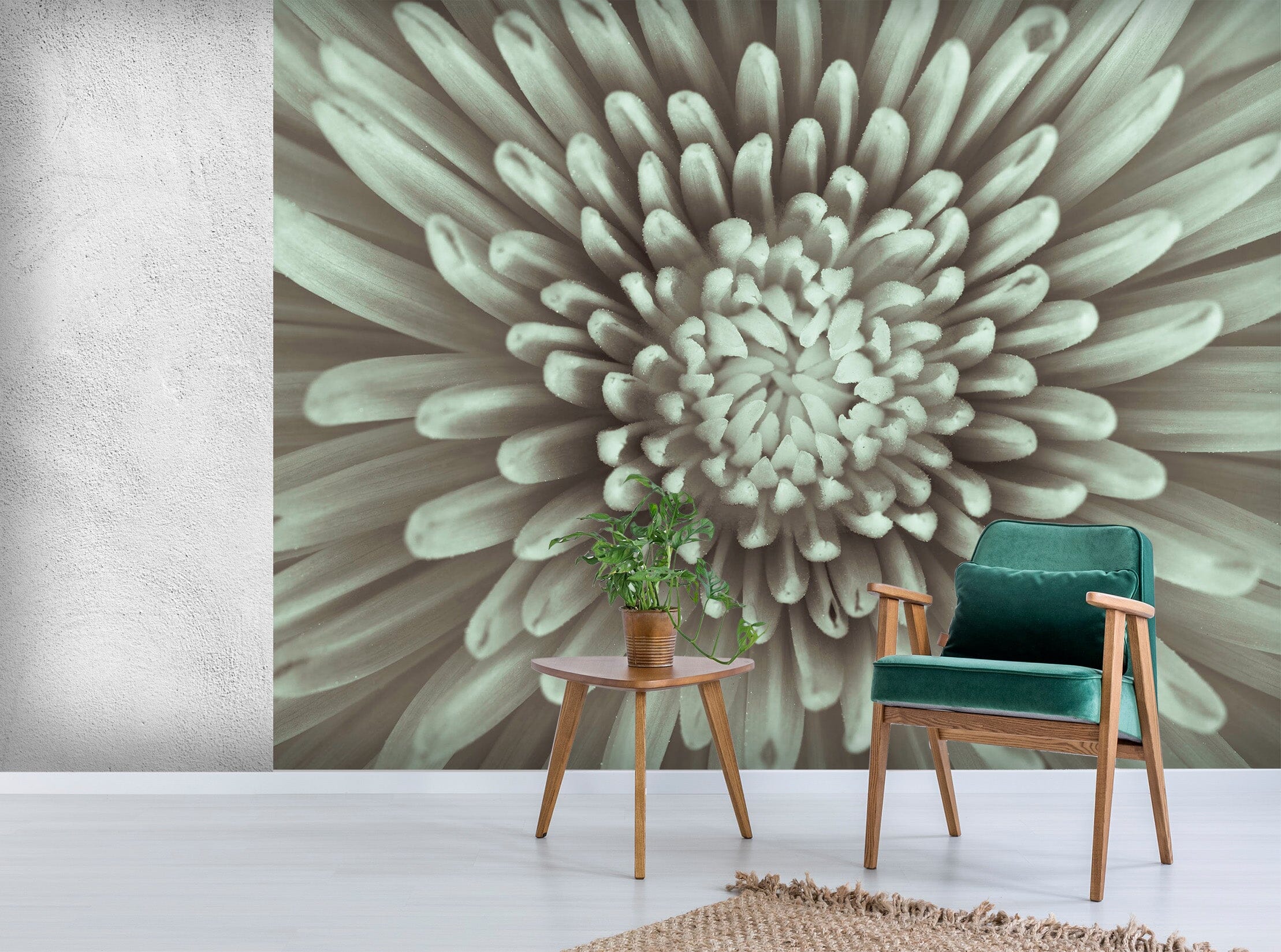 3D White Daisy 1401 Assaf Frank Wall Mural Wall Murals Wallpaper AJ Wallpaper 2 