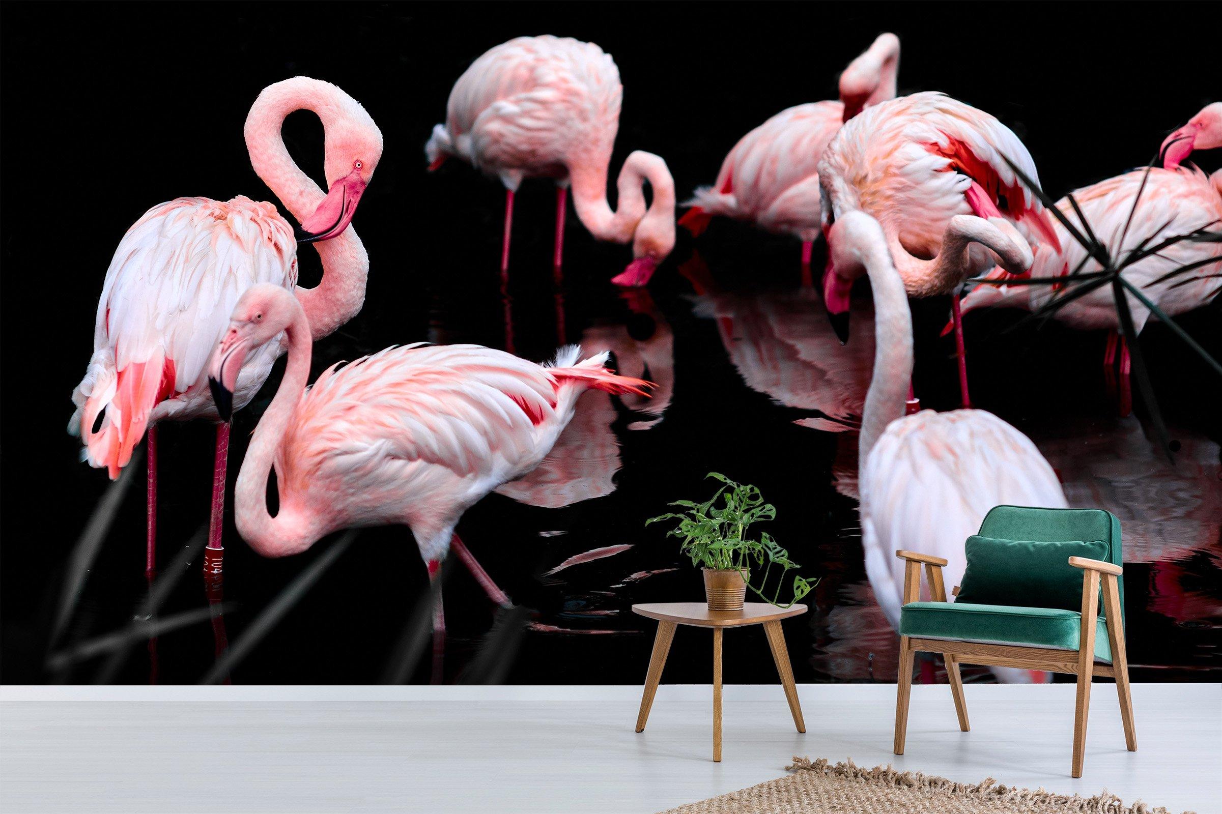 3D Flamingo Drinking Water 222 Wallpaper AJ Wallpaper 