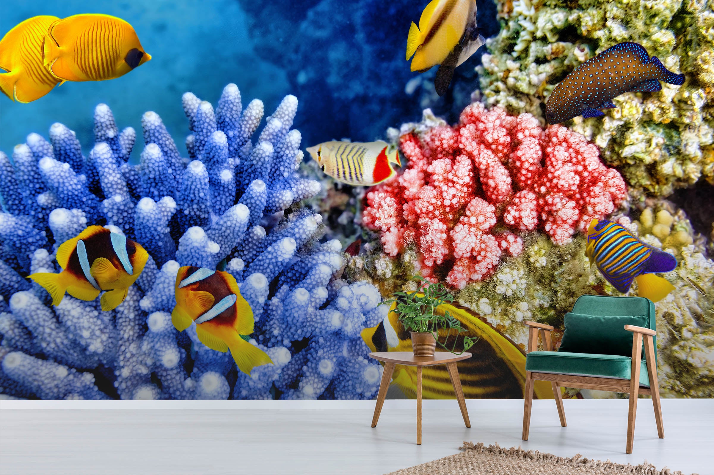 3D Red Coral Fish 363 Wall Murals
