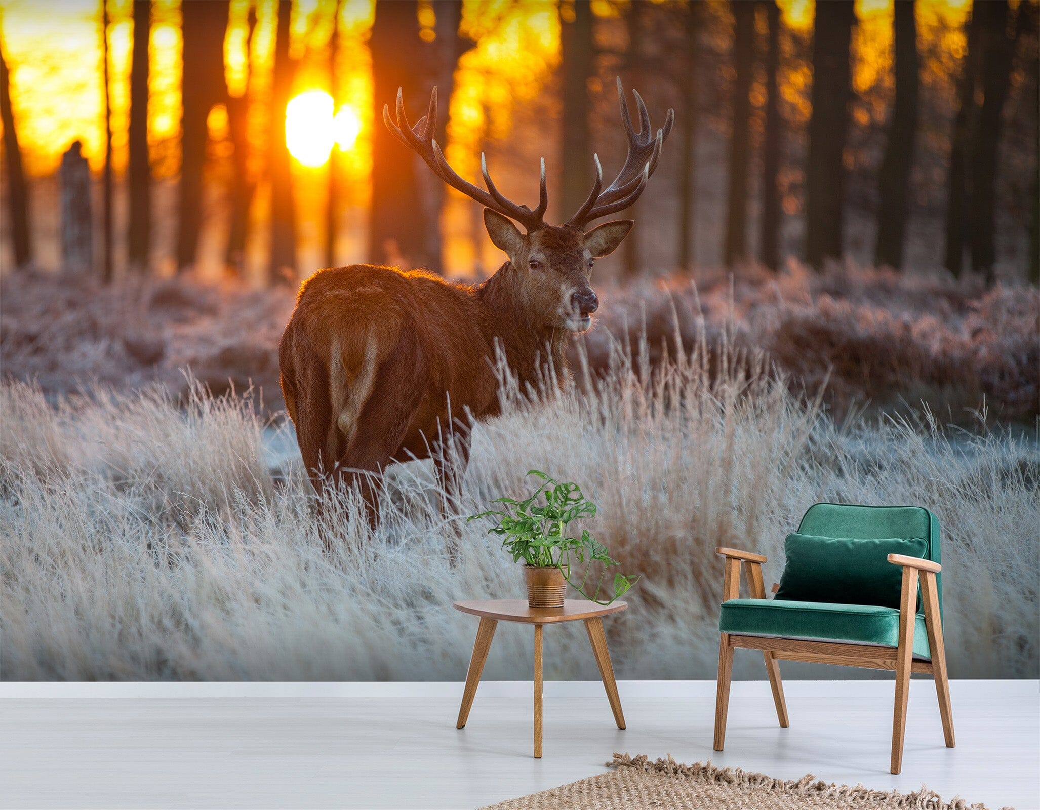 3D Sunset Forest Deer 386 Wall Murals Wallpaper AJ Wallpaper 2 