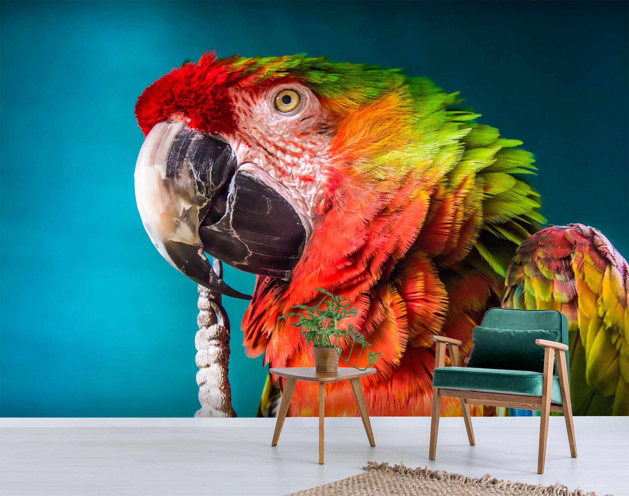 3D Color Parrot 414 Wall Murals