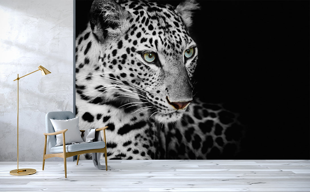 3D Black Leopard WC515 Wall Murals