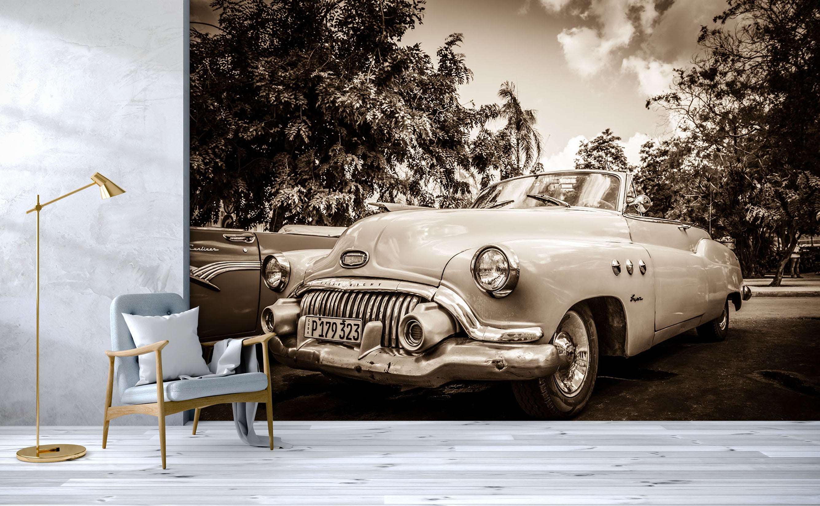 3D Park Convertible 353 Vehicle Wall Murals