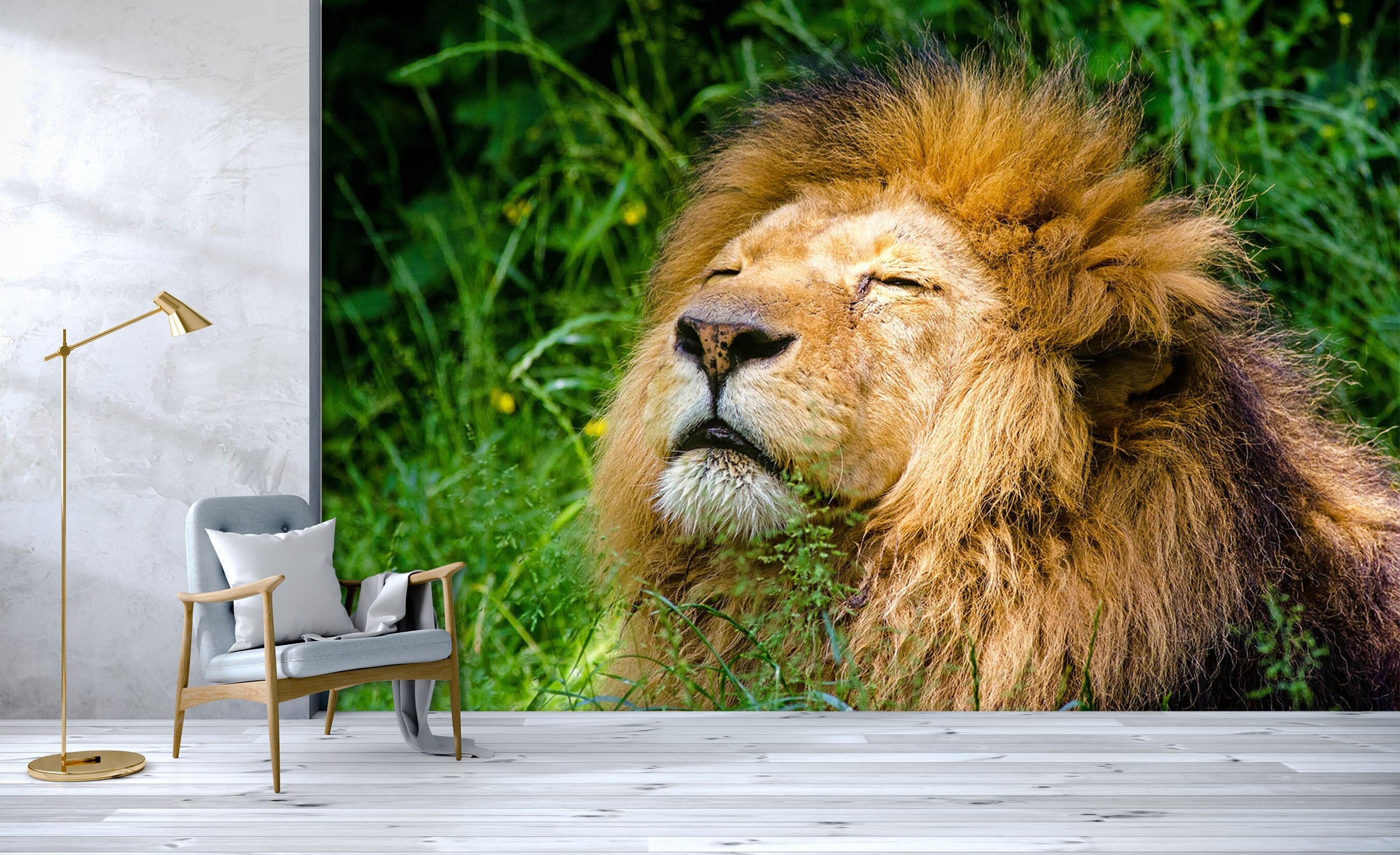 3D Big Lion 129 Wall Murals Wallpaper AJ Wallpaper 2 