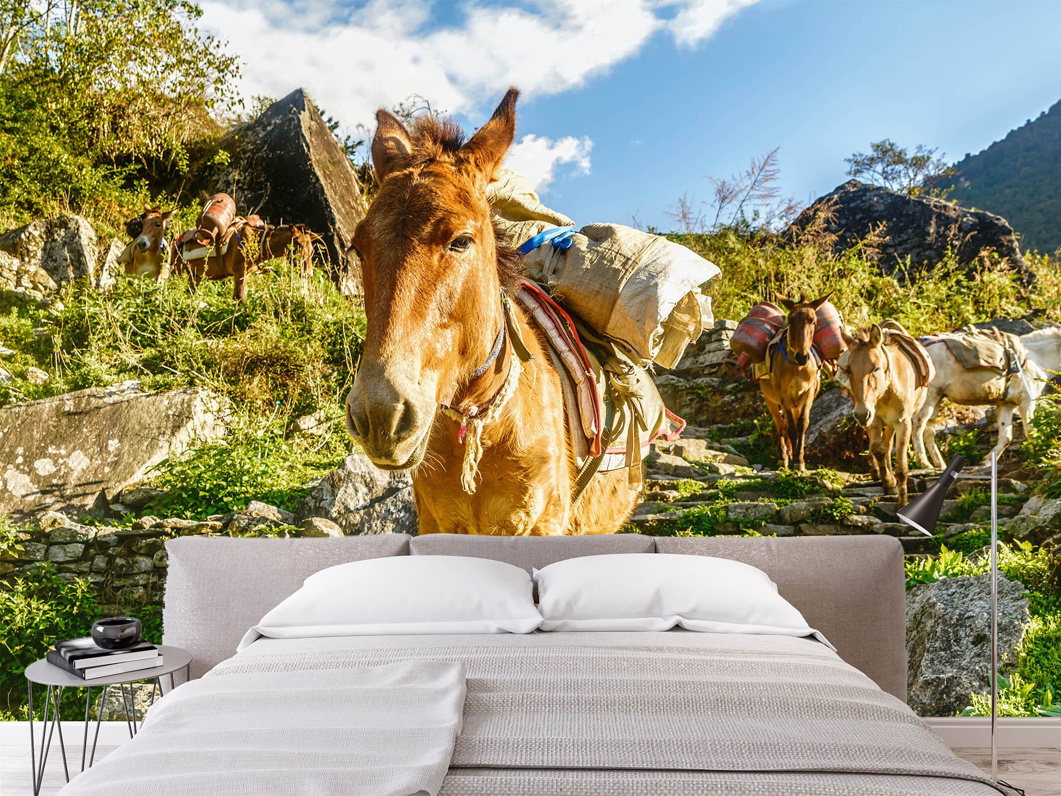 3D Donkey Load 373 Wall Murals Wallpaper AJ Wallpaper 2 