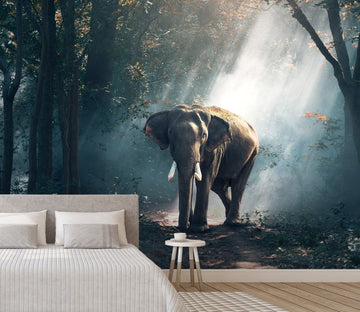 3D Woodland Elephant 651 Wallpaper AJ Wallpaper 