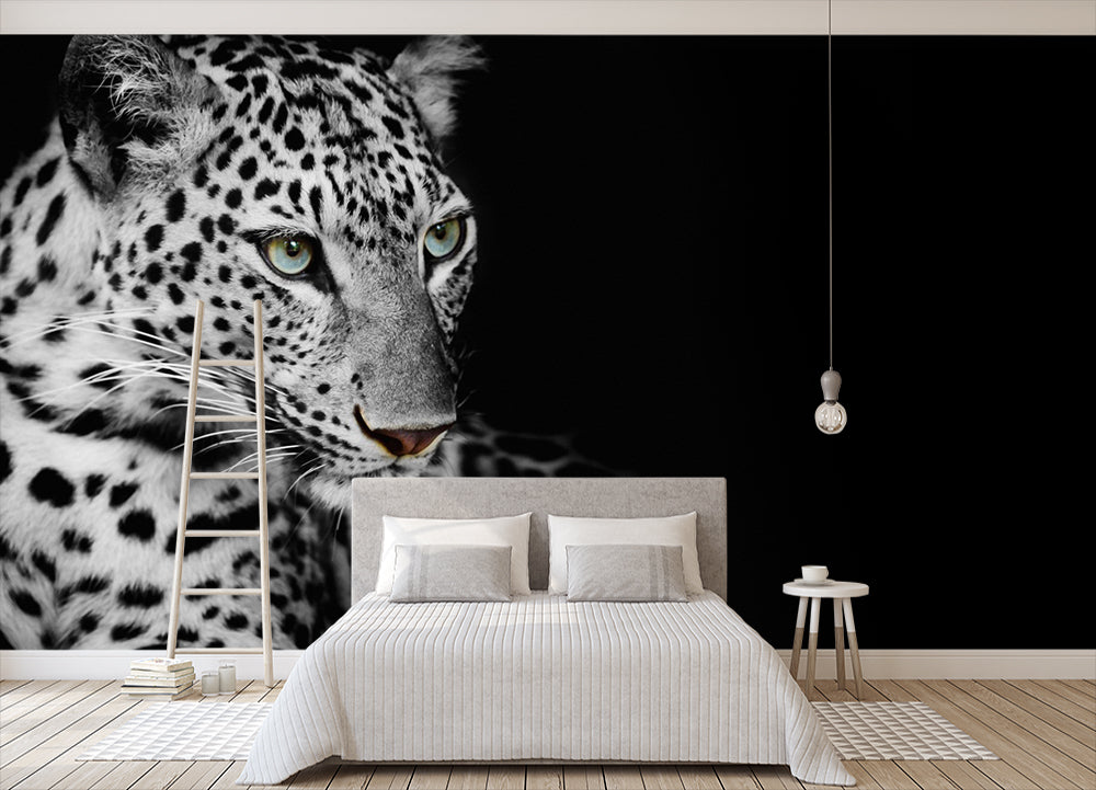 3D Black Leopard WC515 Wall Murals