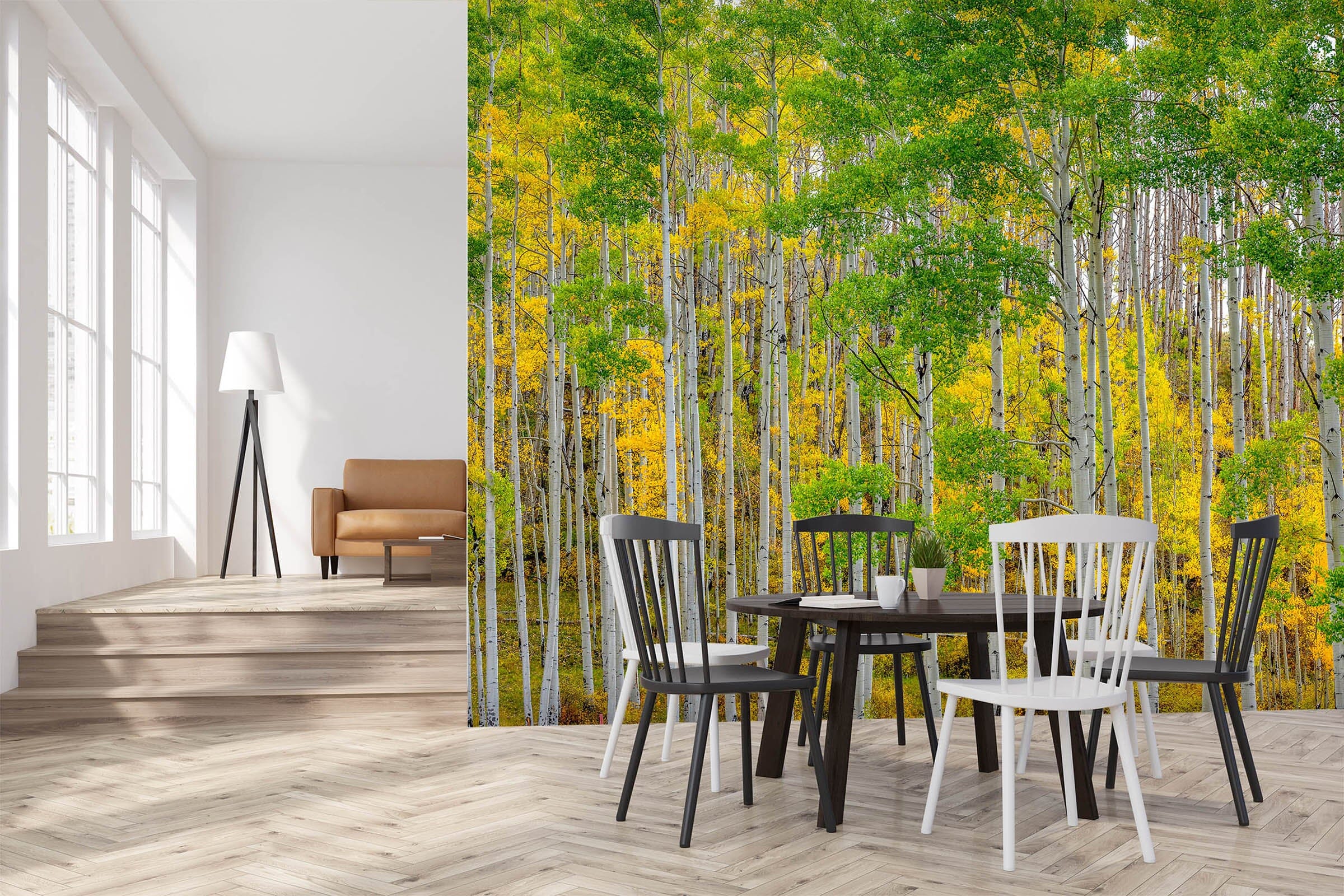 3D Autumn Forest 1436 Marco Carmassi Wall Mural Wall Murals Wallpaper AJ Wallpaper 2 
