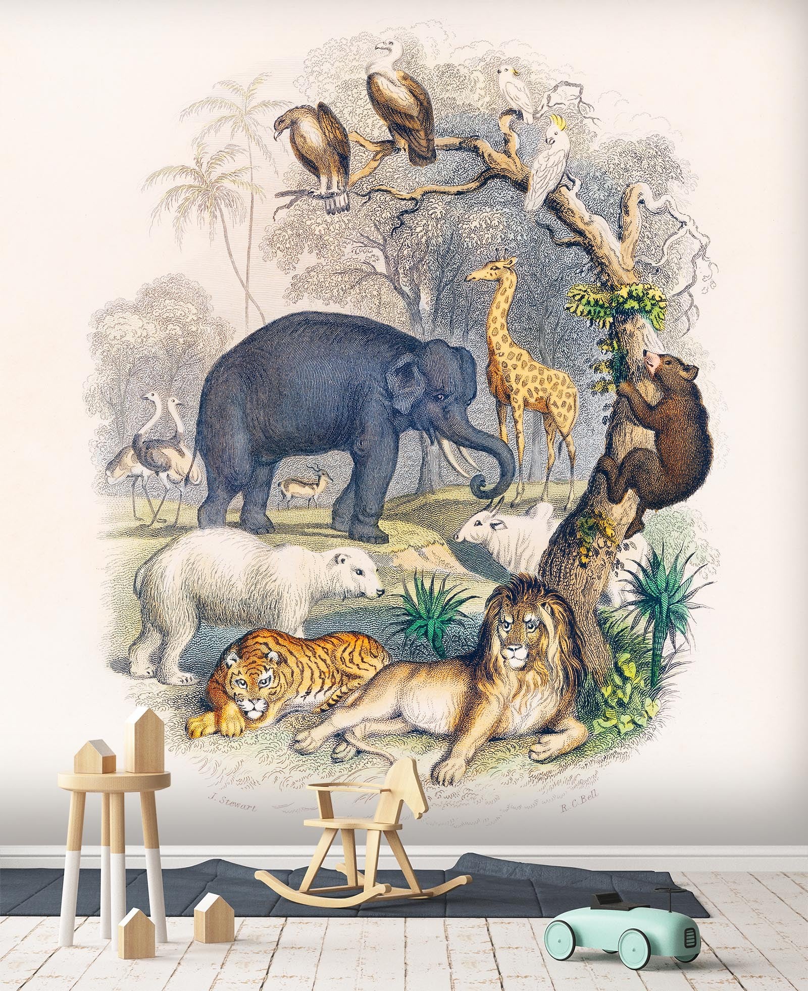 3D Zoo 258 Wallpaper AJ Wallpaper 