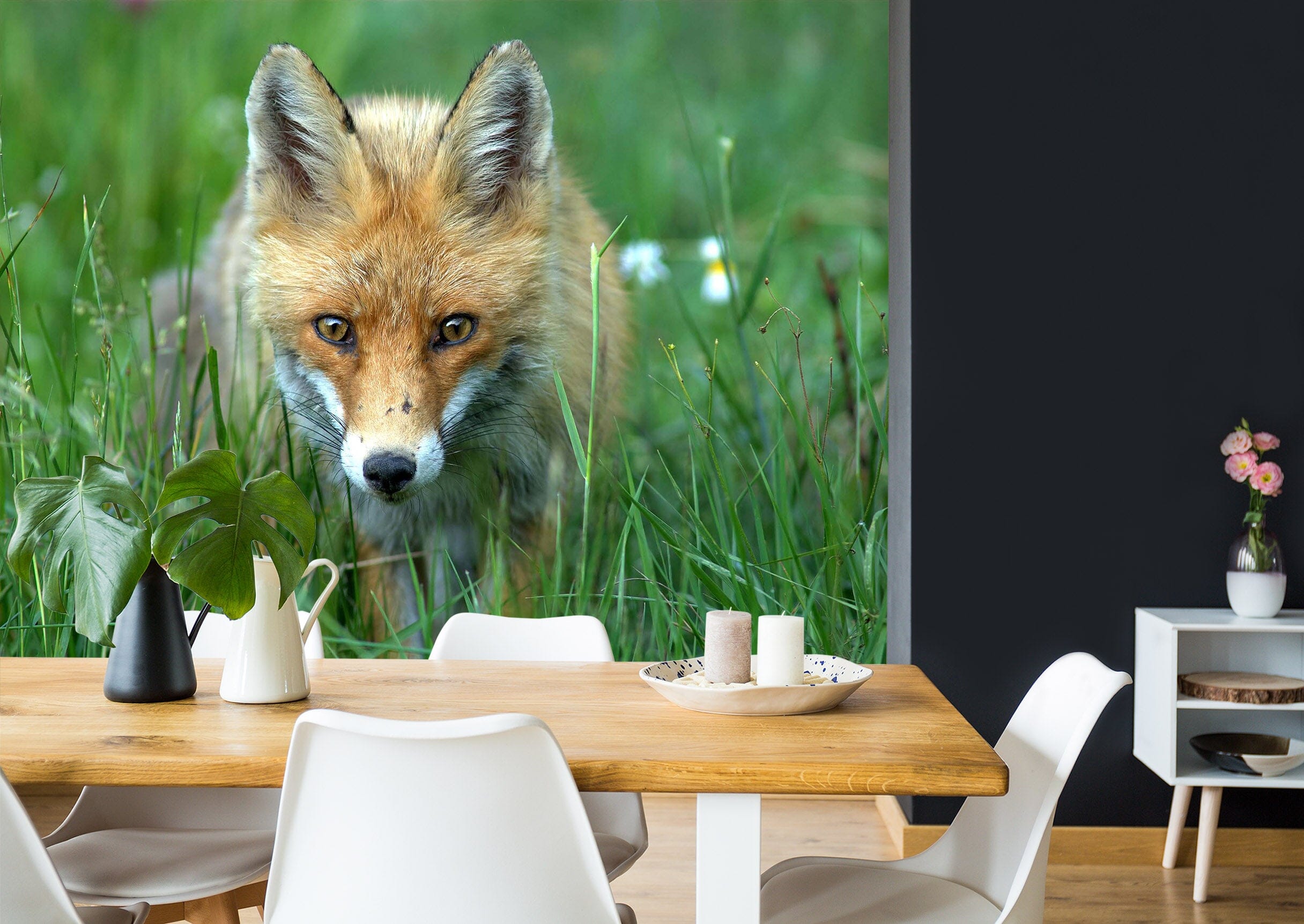 3D Steppe Fox 2006 Wall Murals Wallpaper AJ Wallpaper 2 
