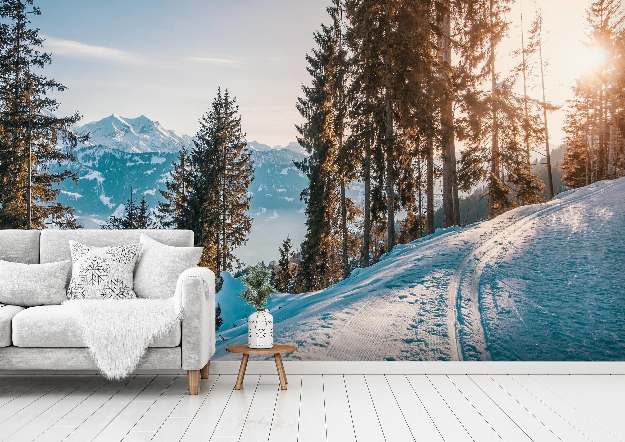 3D Sunny Forest 134 Wallpaper AJ Wallpaper 