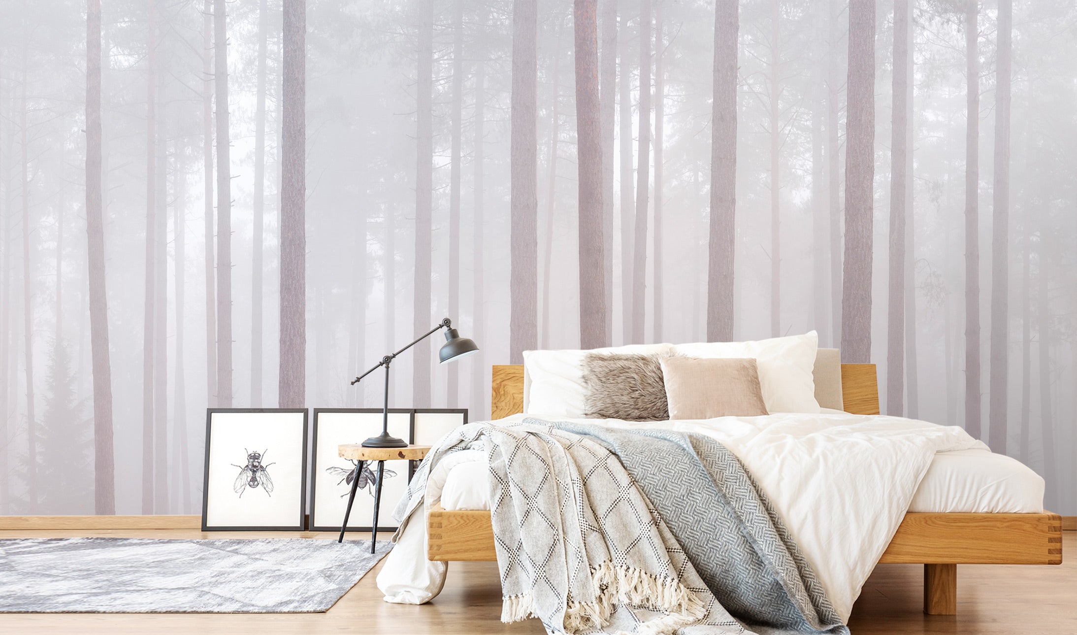 3D Misty Forest 6285 Assaf Frank Wall Mural Wall Murals