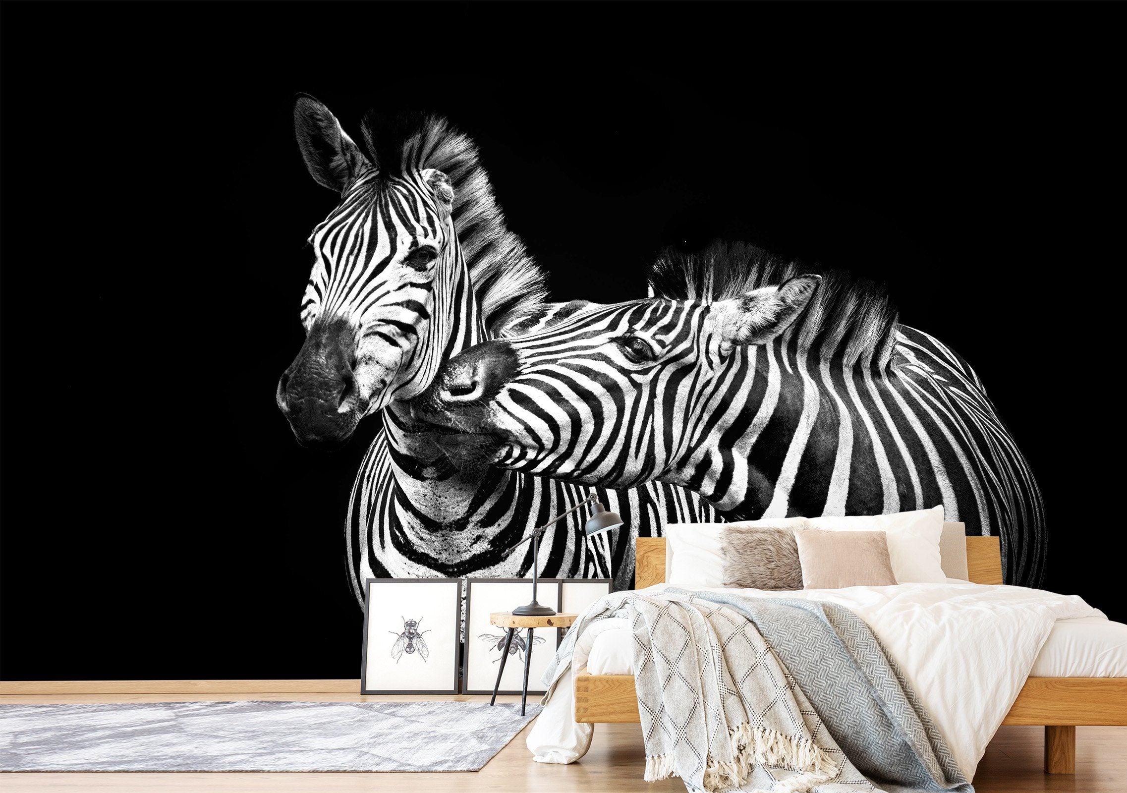 3D Zebra Mouth 255 Wallpaper AJ Wallpaper 
