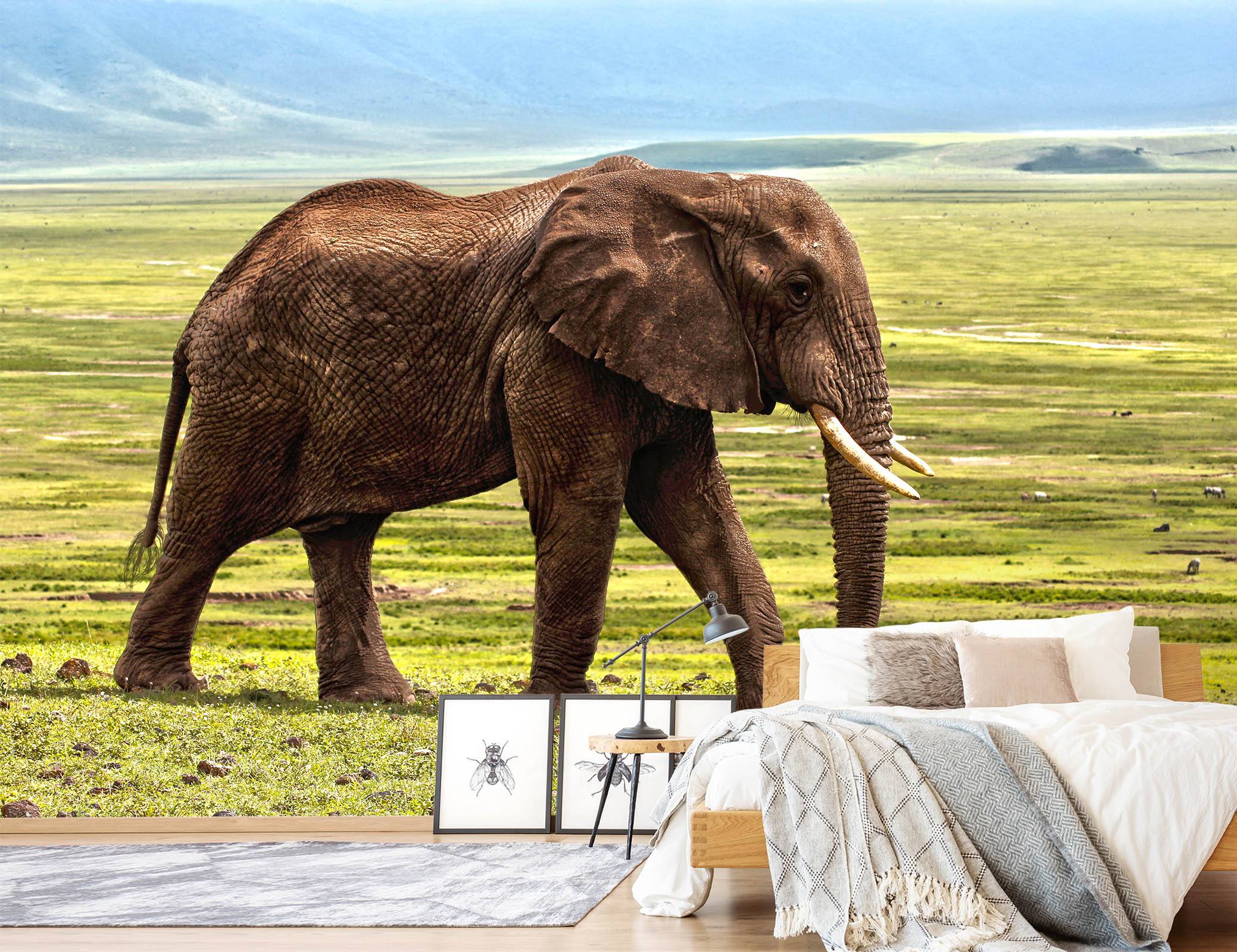 3D Steppe Elephant 135 Wallpaper AJ Wallpaper 