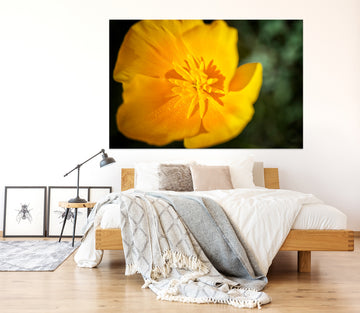 3D Yellow Flowers 61178 Kathy Barefield Wall Sticker