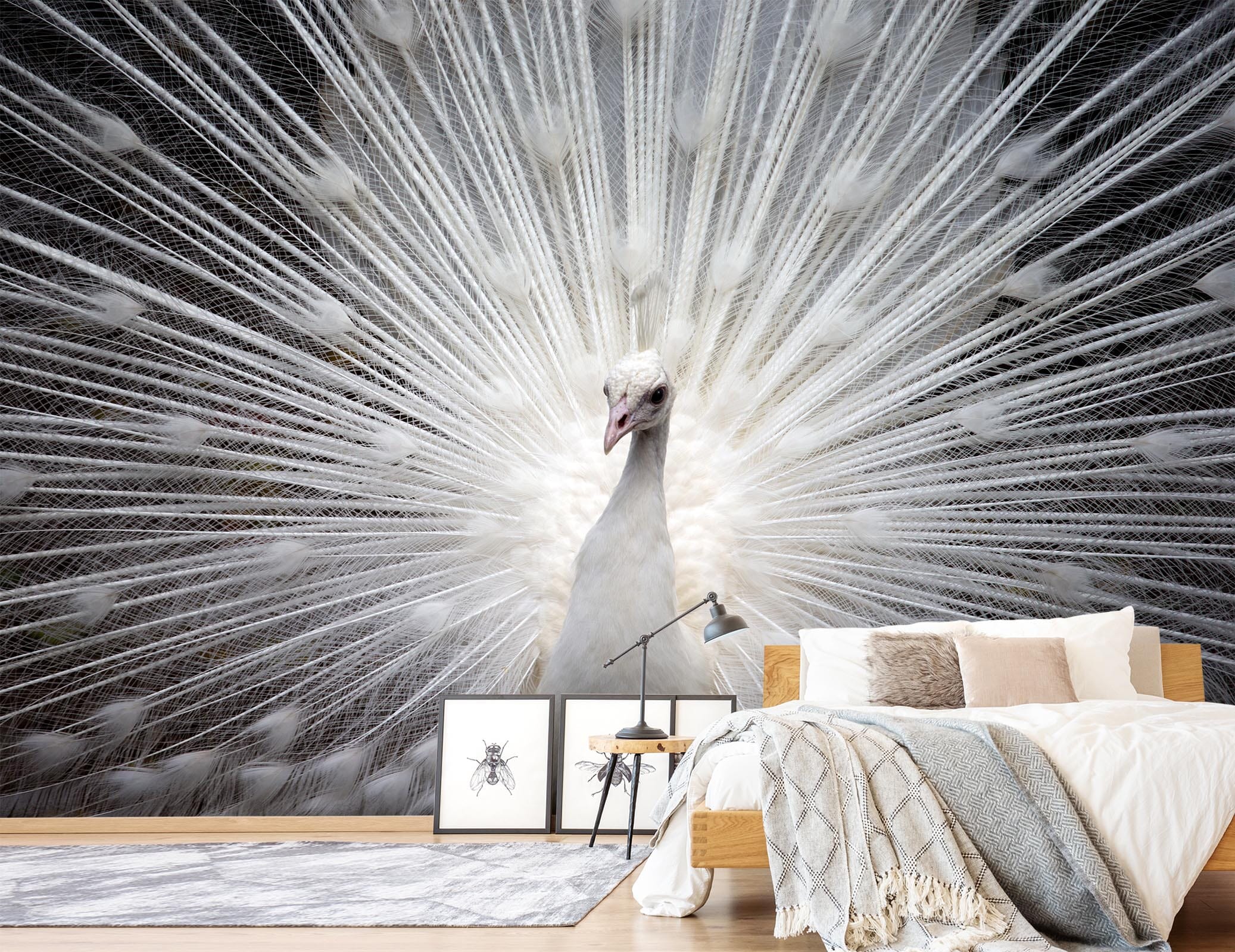 3D White Peacock 408 Wall Murals Wallpaper AJ Wallpaper 2 