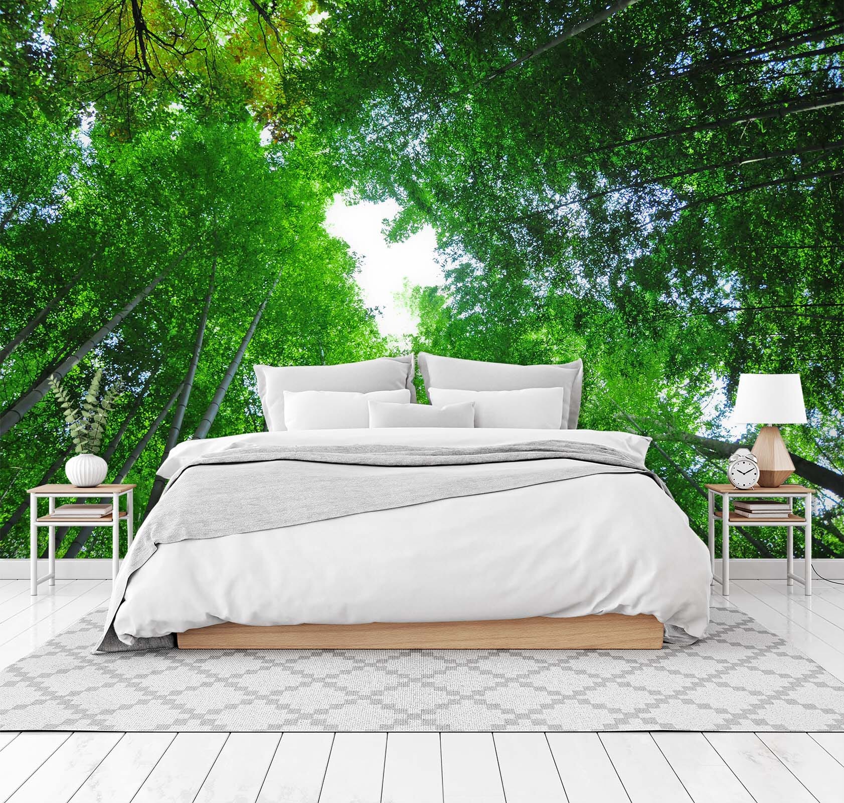 3D Forest White Clouds 058 Wall Murals Wallpaper AJ Wallpaper 2 