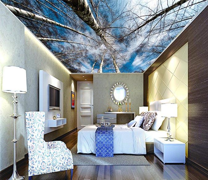 Bare Trees Blue Sky Wallpaper AJ Wallpaper 