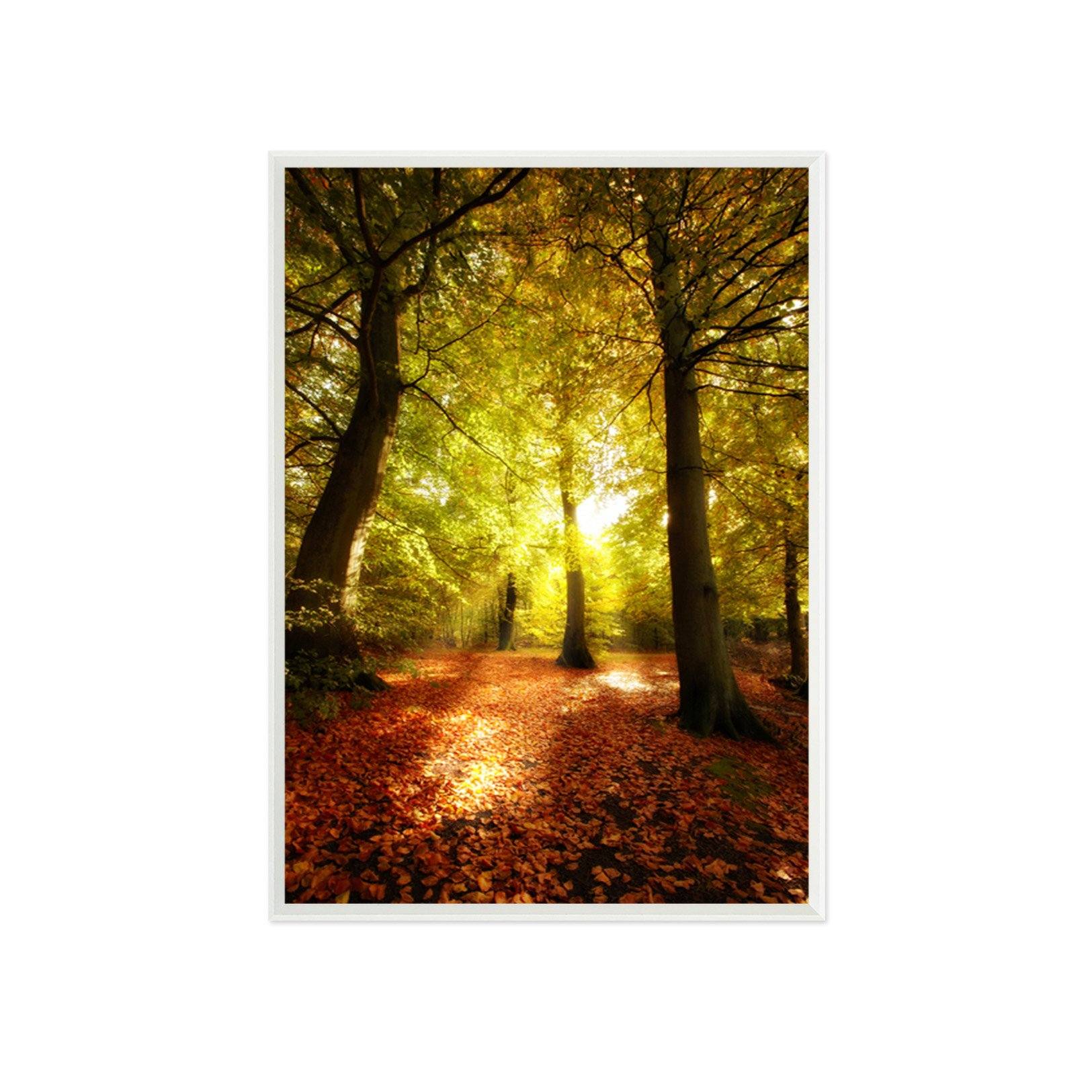 3D Sunny Shade 133 Fake Framed Print Painting Wallpaper AJ Creativity Home 