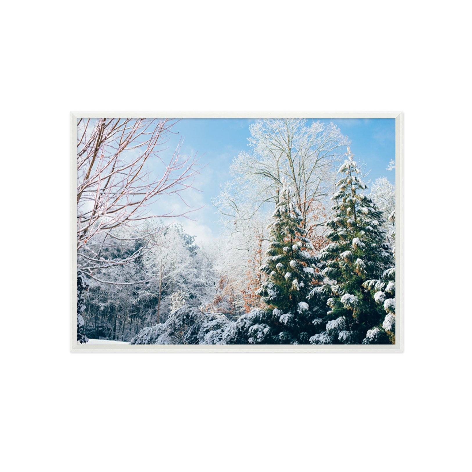 3D Snow White World 035 Fake Framed Print Painting Wallpaper AJ Creativity Home 