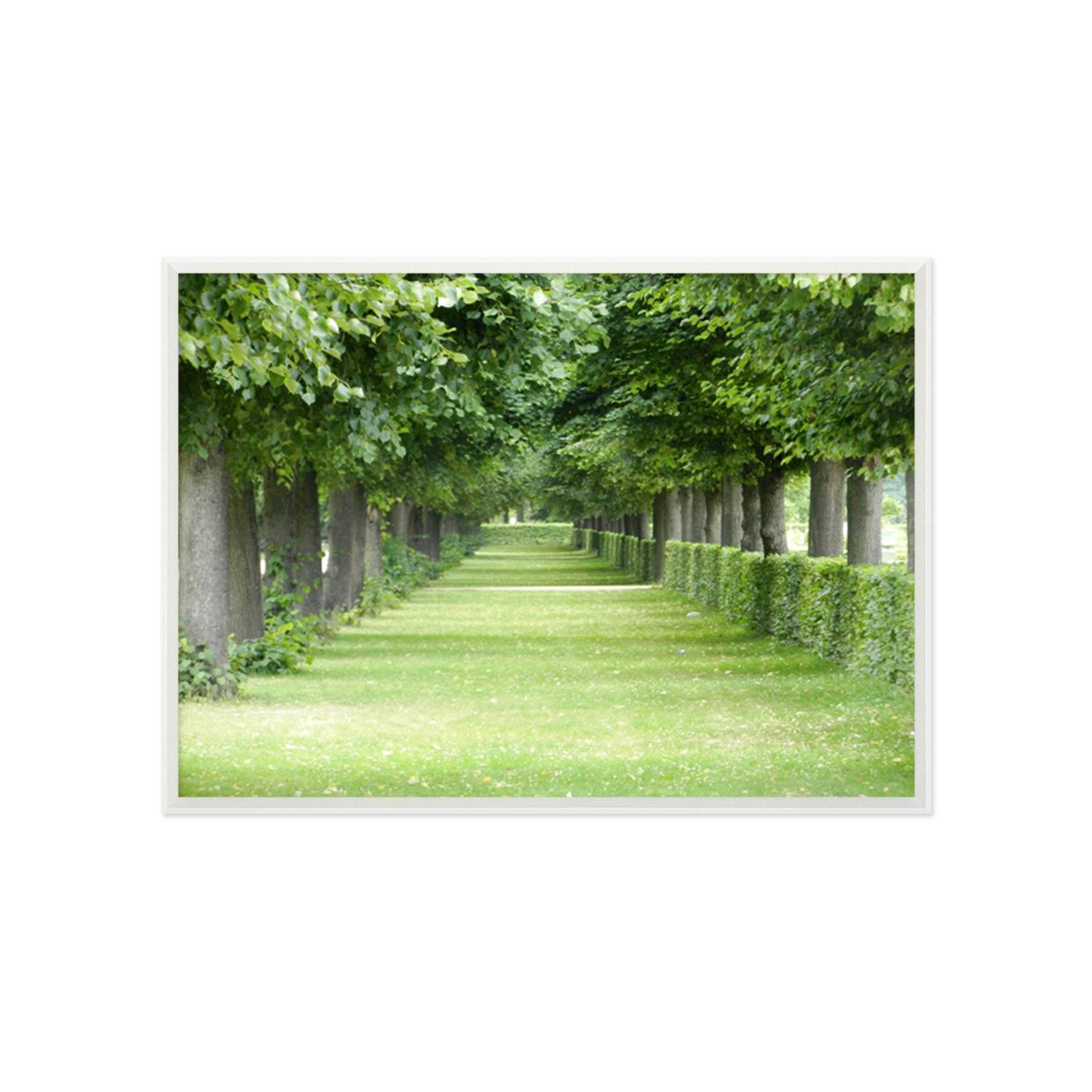 3D Quiet Trail 197 Fake Framed Print Painting Wallpaper AJ Creativity Home 