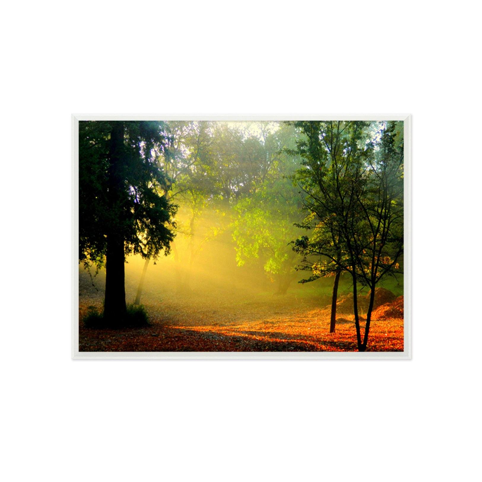 3D Sunshine Leaves 033 Fake Framed Print Painting Wallpaper AJ Creativity Home 