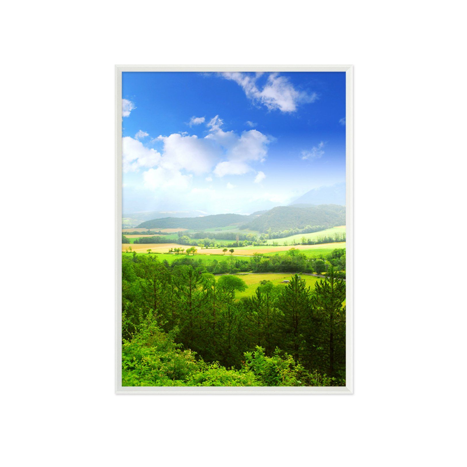3D Forest Field 027 Fake Framed Print Painting Wallpaper AJ Creativity Home 