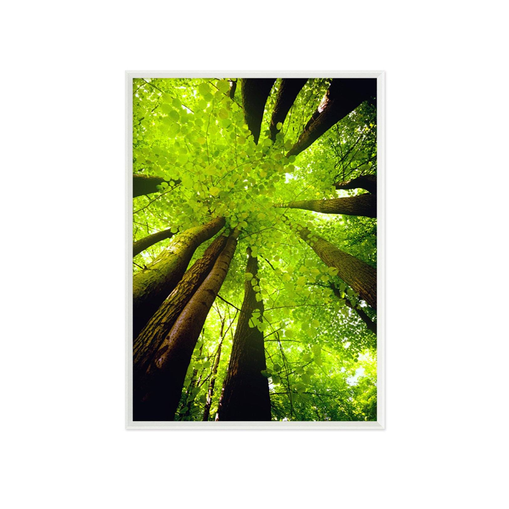 3D Green Tree 115 Fake Framed Print Painting Wallpaper AJ Creativity Home 