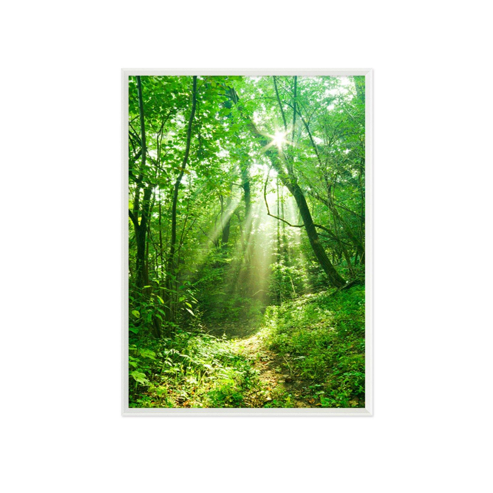3D Forest Sunshine 123 Fake Framed Print Painting Wallpaper AJ Creativity Home 