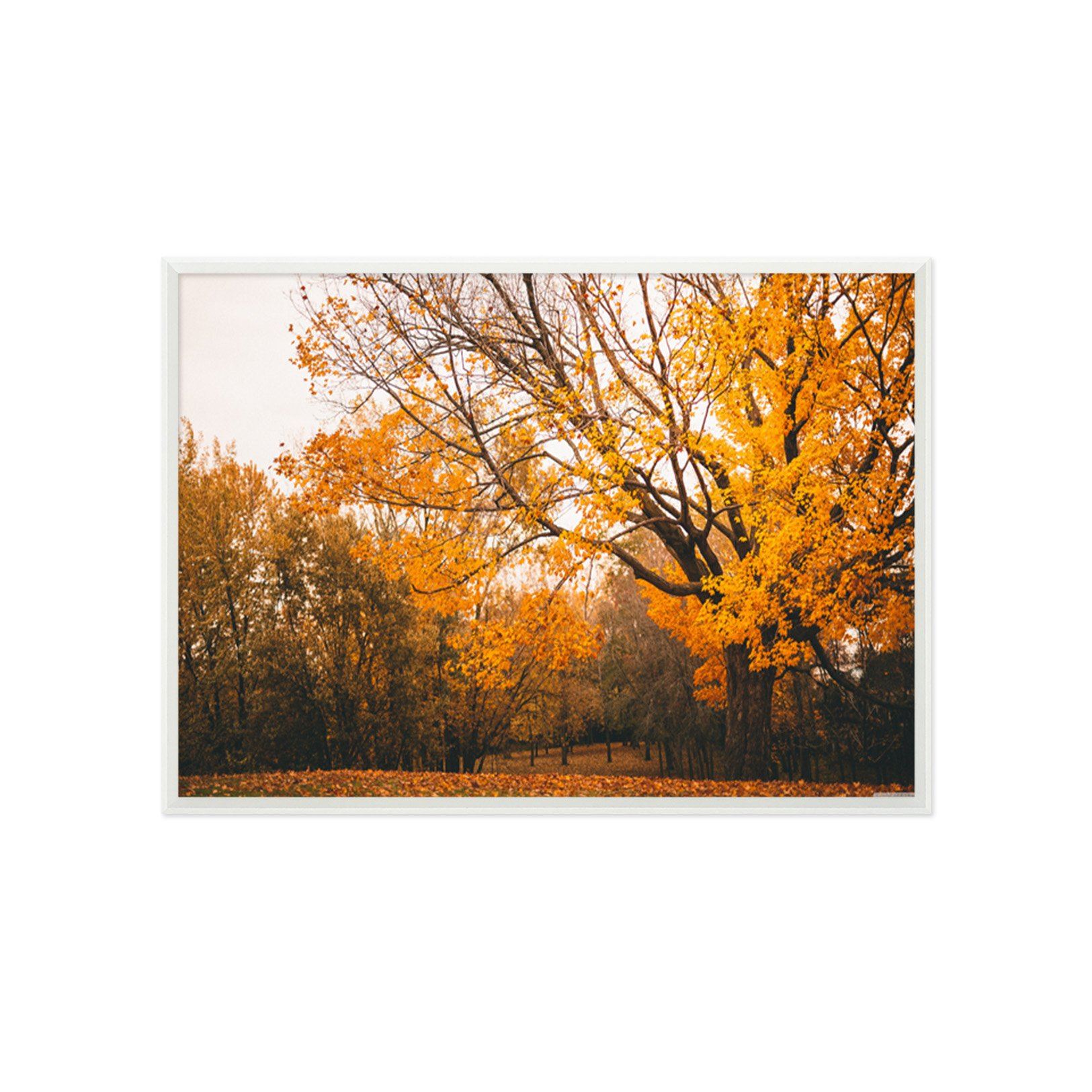 3D Autumn Leaves 021 Fake Framed Print Painting Wallpaper AJ Creativity Home 