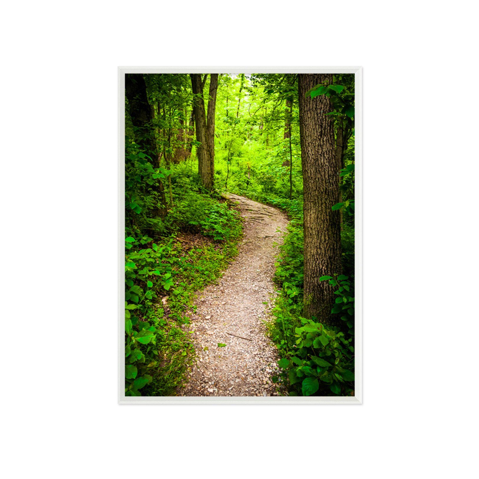 3D Forest Trail 109 Fake Framed Print Painting Wallpaper AJ Creativity Home 